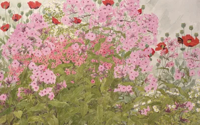 Phlox Roses et Coquelicots avec un Papillon